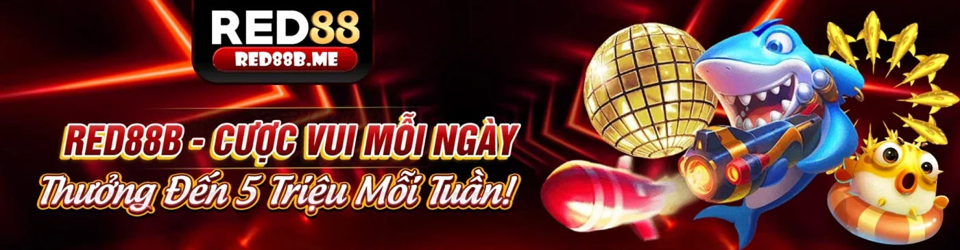 Người dùng đang đặt cược thông minh trên ứng dụng mana88 chính thức